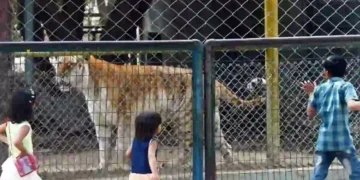 animal breeding at karachi zoo