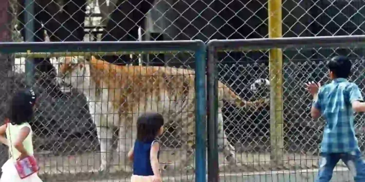 animal breeding at karachi zoo