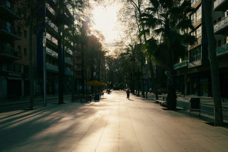 Sunlight on a city street with trees, illustrating urban summer heat